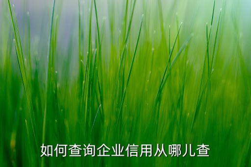如何查询企业信用从哪儿查