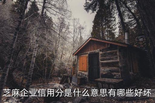 企业信用积分怎么开通，支付宝商家信用分怎么开通