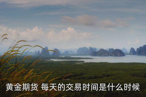黄金期货 每天的交易时间是什么时候