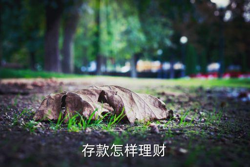 存款怎样理财
