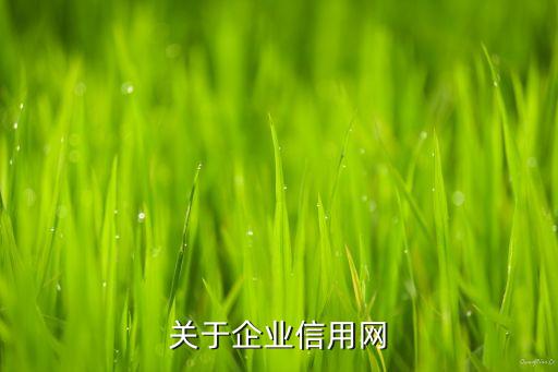 全网企业信用评价网址多少，关于企业信用网