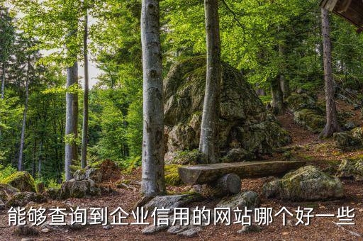 能够查询到企业信用的网站哪个好一些