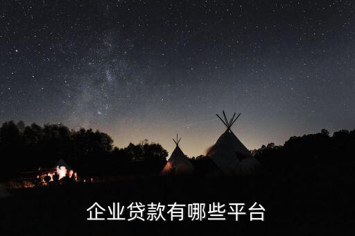 企业贷款有哪些平台