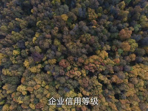 企业信用等级
