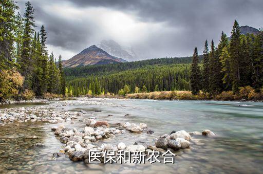医保和新农合