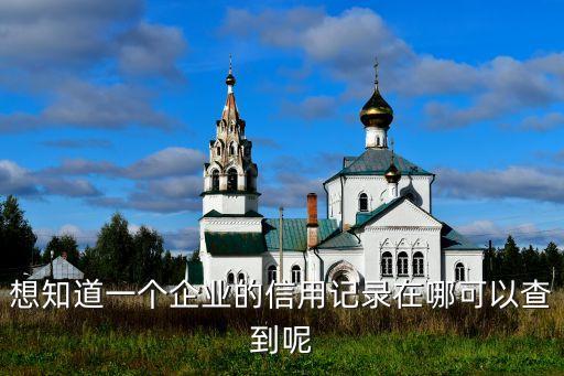 想知道一个企业的信用记录在哪可以查到呢
