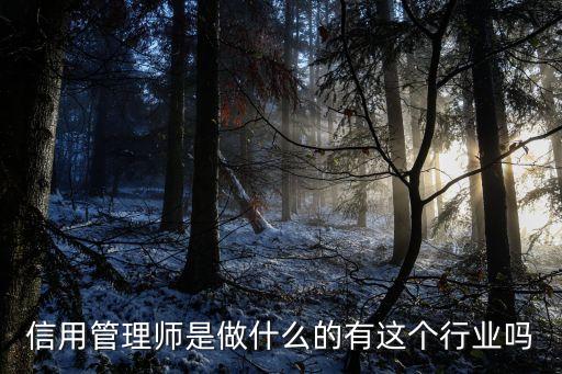 信用管理师是做什么的有这个行业吗