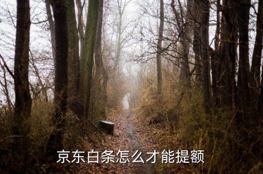 京东白条怎么才能提额