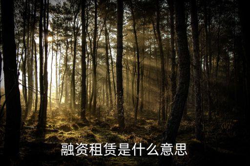 融资租赁是什么意思