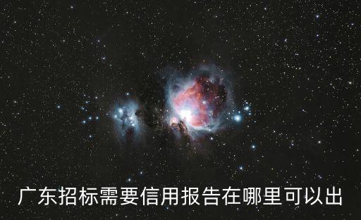 广东招标需要信用报告在哪里可以出