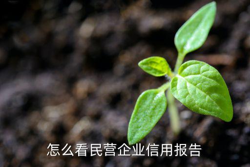 怎么看民营企业信用报告