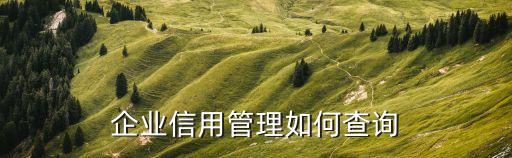 如何查阅企业信用，企业信用管理如何查询