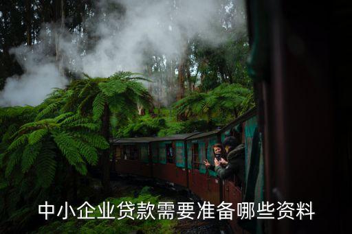 企业信用贷款怎么提前准备，公司信用贷款怎么做