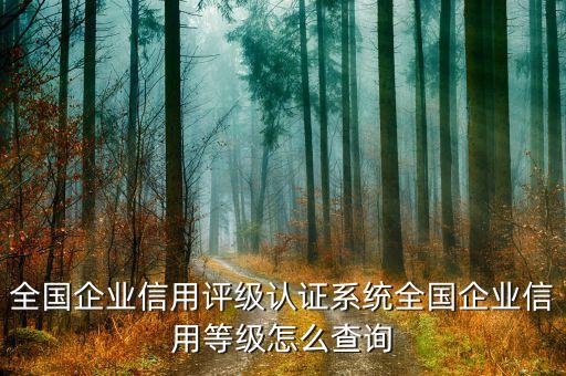 全国企业信用评级认证系统全国企业信用等级怎么查询