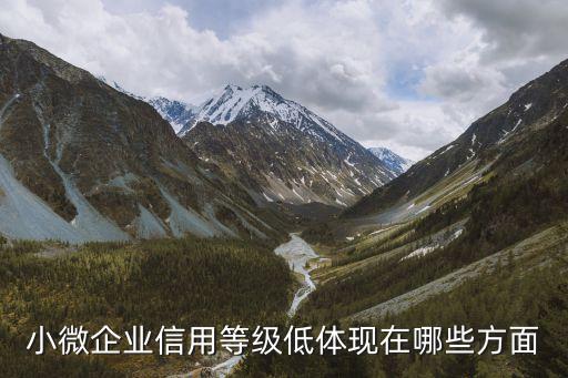 小微企业信用等级低体现在哪些方面