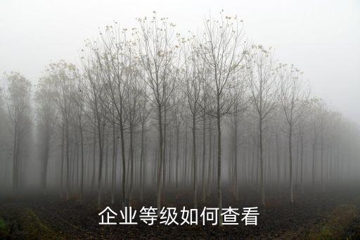 企业等级如何查看