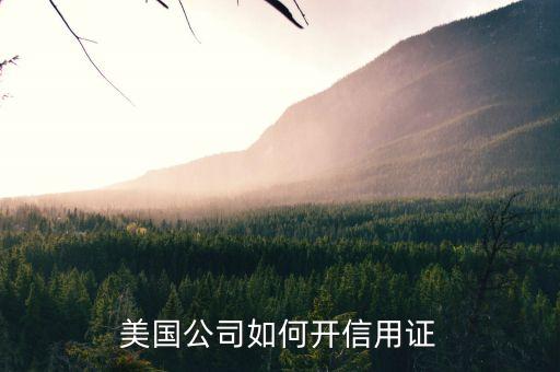 美国企业信用码怎么用，美国人怎么用信用卡
