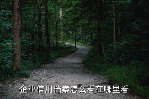 企业信用档案怎么看在哪里看