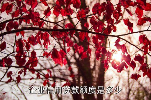 企业信用贷款额度是多少