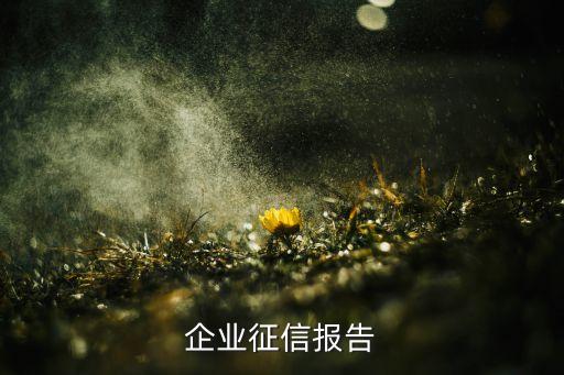 深圳如何打印企业信用报告，如何查询和打印企业信用