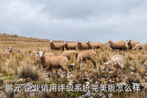 鹏元 企业信用评级系统完美版怎么样