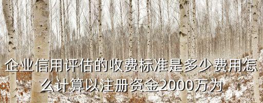 科技企业信用评价收费多少，中小企业的信用评级的费用是多少啊