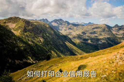 企业信用公示怎么打印，公司征信记录哪里打印