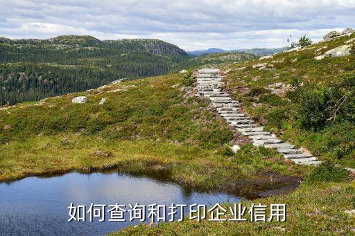 如何查询和打印企业信用