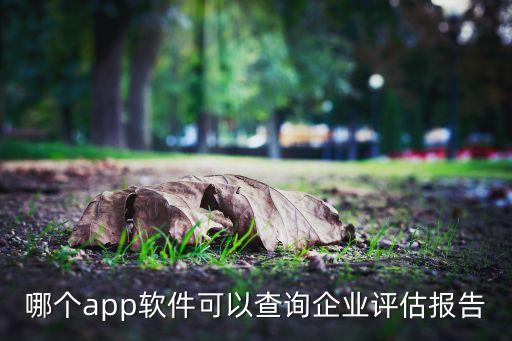 哪个软件能查到企业信用，哪个app软件可以查询企业评估报告