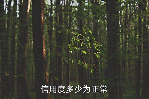 信用度多少为正常
