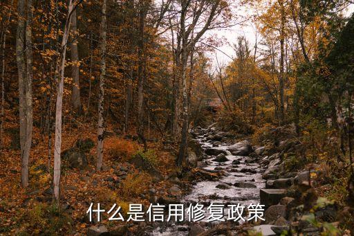 什么是信用修复政策