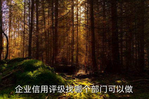 企业信用评级找哪个部门可以做