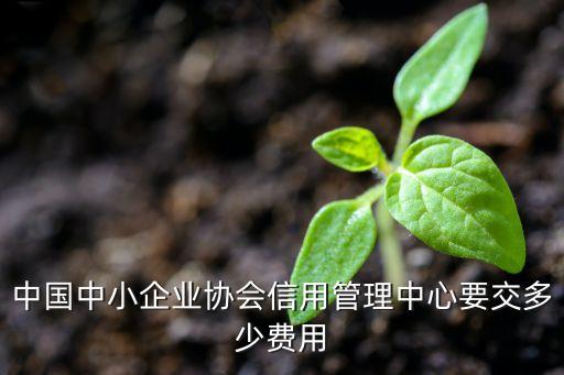 中国中小企业协会信用管理中心要交多少费用