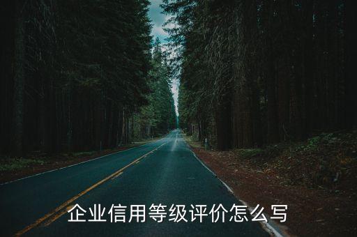 企业信用等级评价怎么写
