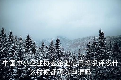 中国中小企业协会企业信用等级评级什么时候都可以申请吗