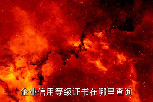 企业信用等级证书在哪里查询