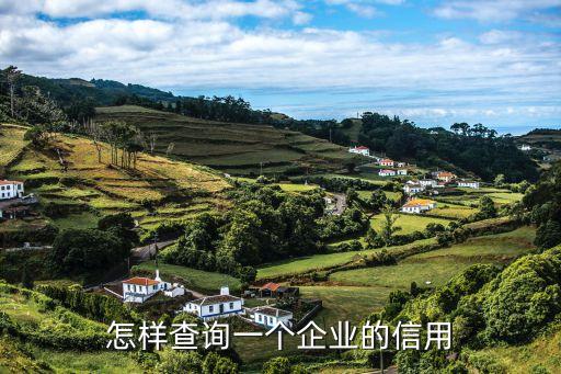 怎样查询一个企业的信用