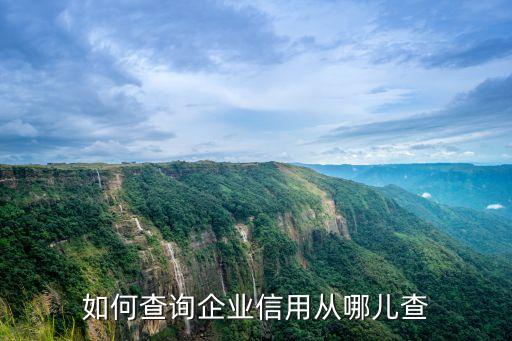 如何查询企业信用从哪儿查