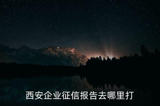 西安企业征信报告去哪里打