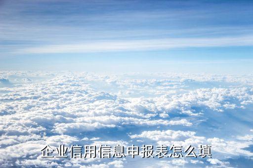 企业信用信息申报表怎么填