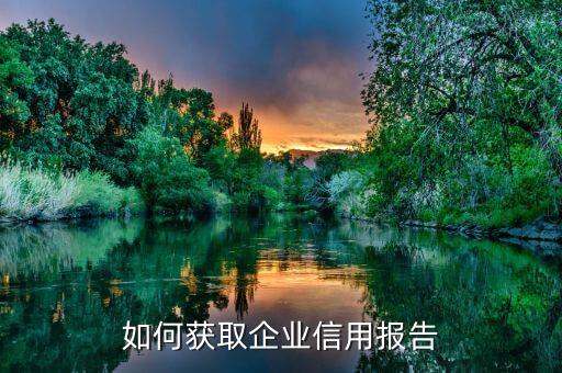 如何获取企业信用文件，如何获取企业信用报告