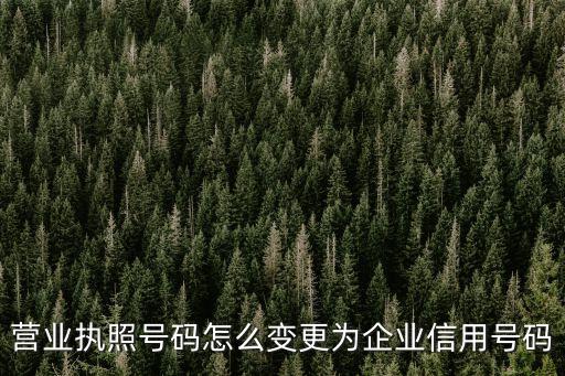 营业执照号码怎么变更为企业信用号码