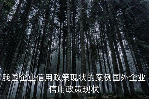 我国企业信用政策现状的案例国外企业信用政策现状