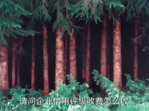请问企业信用评级收费怎么收