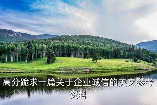 企业信用度英语怎么写的，企业信誉情况怎么填