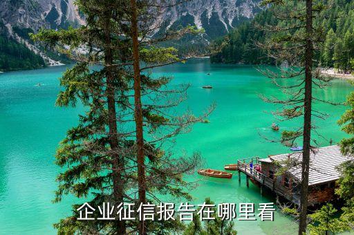 京东的企业信用报告在哪里，企业信用报告怎么看