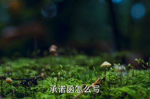 承诺函怎么写