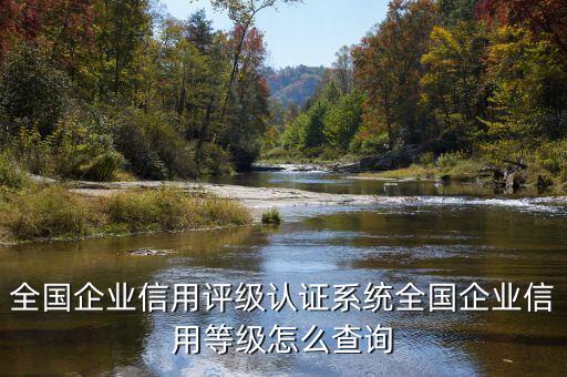 全国企业信用评级认证系统全国企业信用等级怎么查询