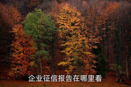 企业信用评价报告到哪里查，企业征信报告在哪里看