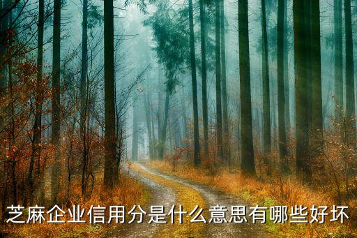 蚂蚁企业信用分有什么用啊，芝麻信用企业信用分有什么福利